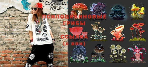 молекула духа Алексеевка