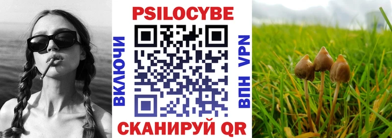 Псилоцибиновые грибы Psilocybe  Ейск 
