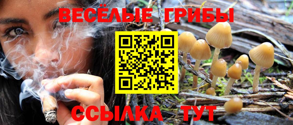 Псилоцибиновые грибы Magic Shrooms  Вход с VPN  Псилоцибиновые грибы ЛСД  Ейск 