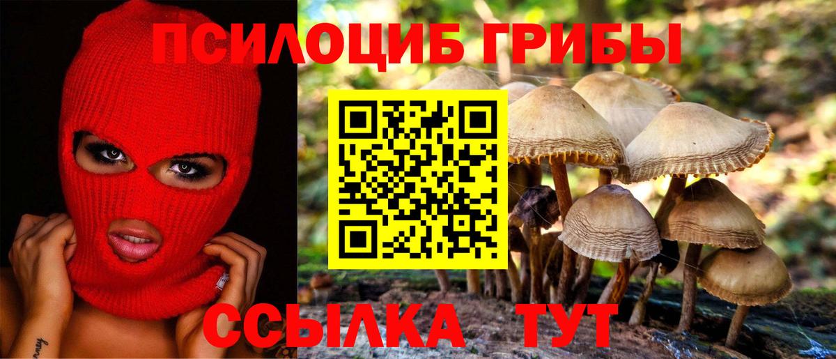 Галлюциногенные грибы мицелий Ейск